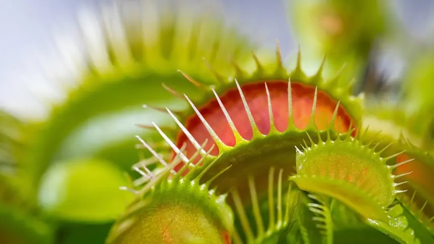 Vyhnite sa pasciam pri písaní ponúk