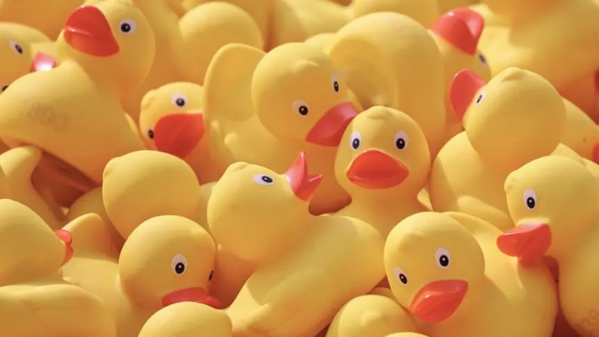 Kedy je lepšie ponuku nevyhrať